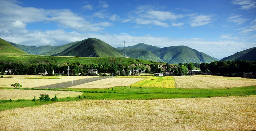 丰年 摄影 葛达山