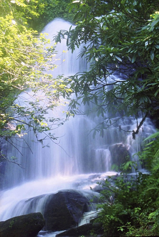 仙景 摄影 春耕