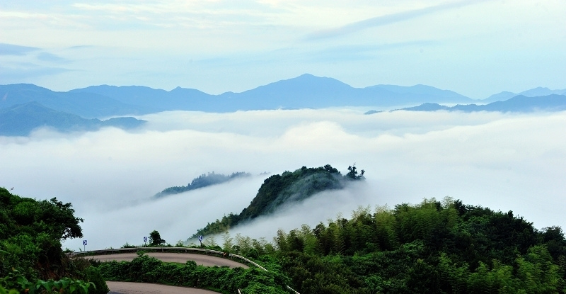 四明山云雾 摄影 空中花园.