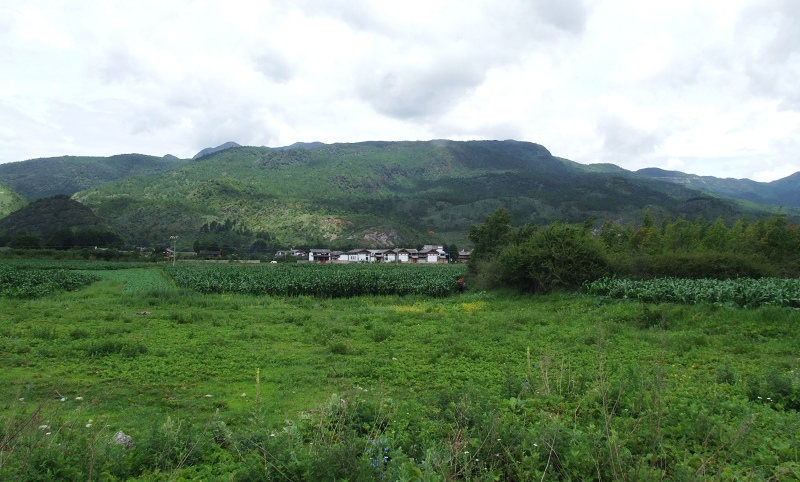 小山村 摄影 冰山雪莲