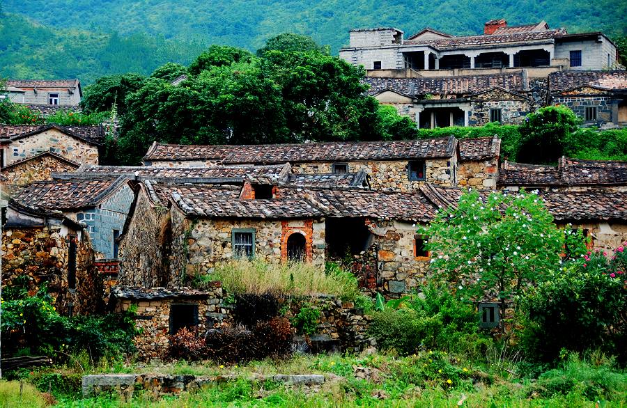 石城影像 摄影 山枣