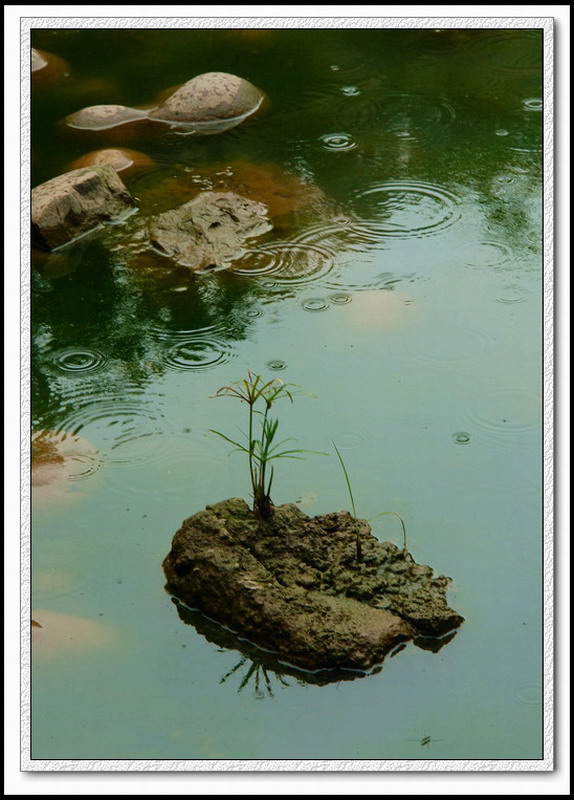 阴有小雨 摄影 艾舍