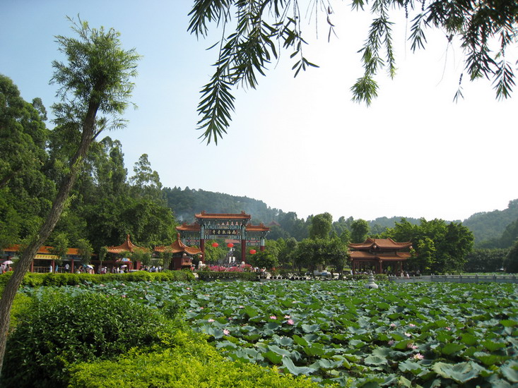 南海观音寺 摄影 残刀断月