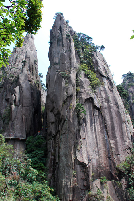 三清山险峰、栈道 摄影 缤纷的大地