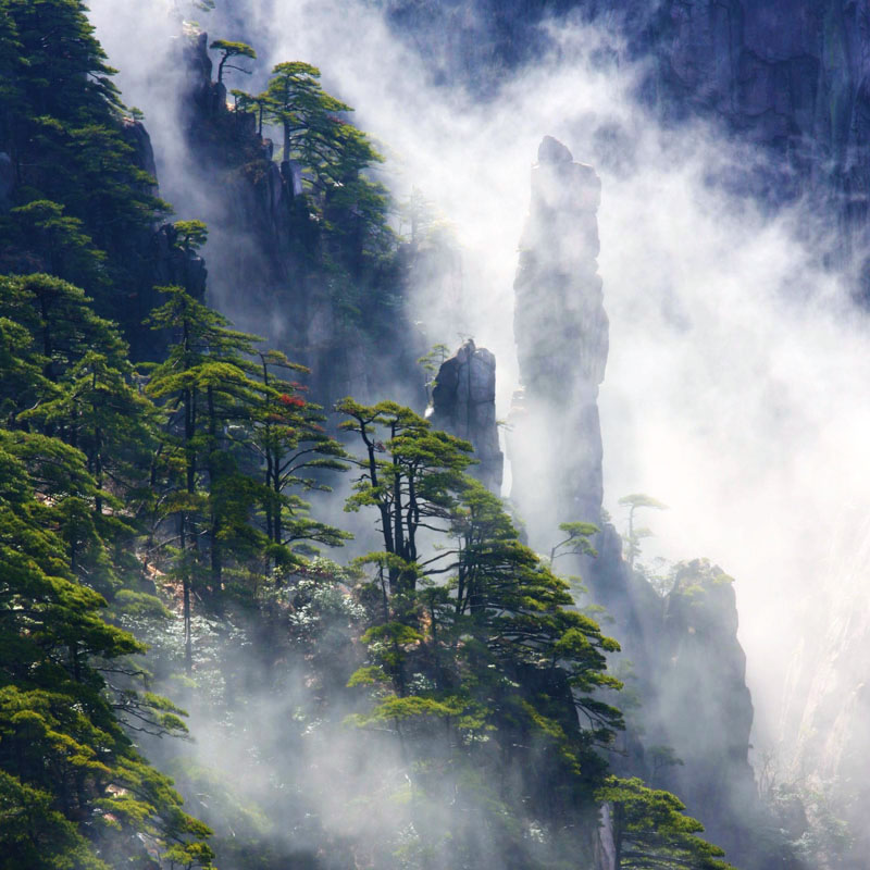 黄山风光------西海大峡谷 摄影 始信公子