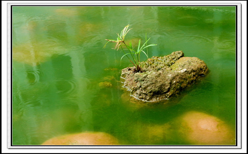 水上小景！ 摄影 艾舍