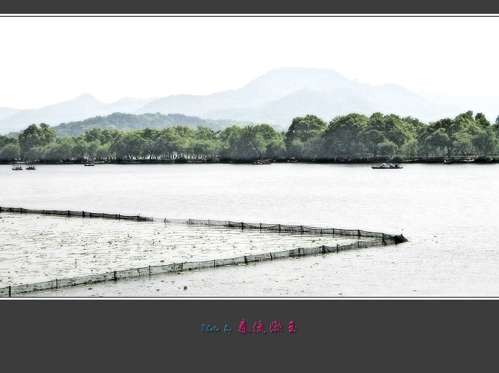 西湖，初夏印象 摄影 春流漱玉