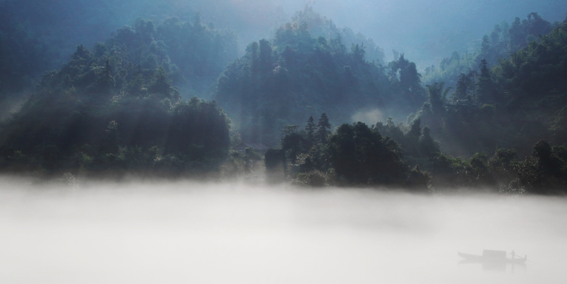 晨曲二 摄影 陈林峰