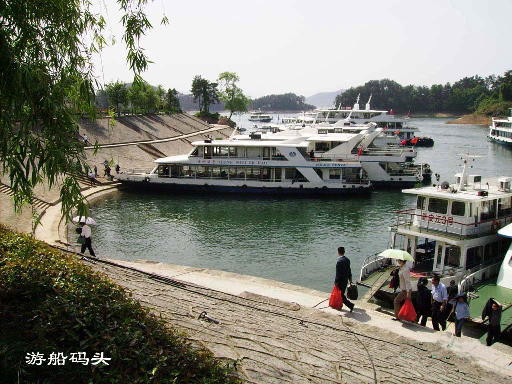 游船码头 摄影 晚景