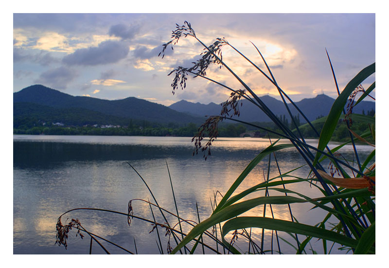 小景 摄影 陈维