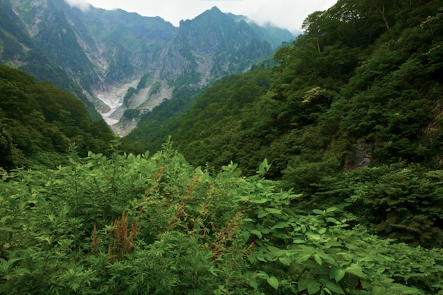 风光 摄影 参苗汤