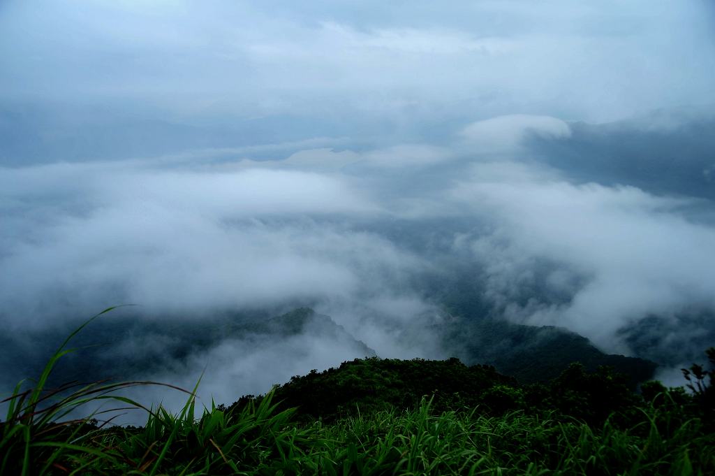 深圳梧桐山清晨 摄影 魔发师