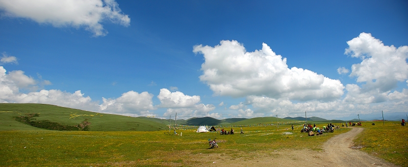 川藏线上 摄影 高山松