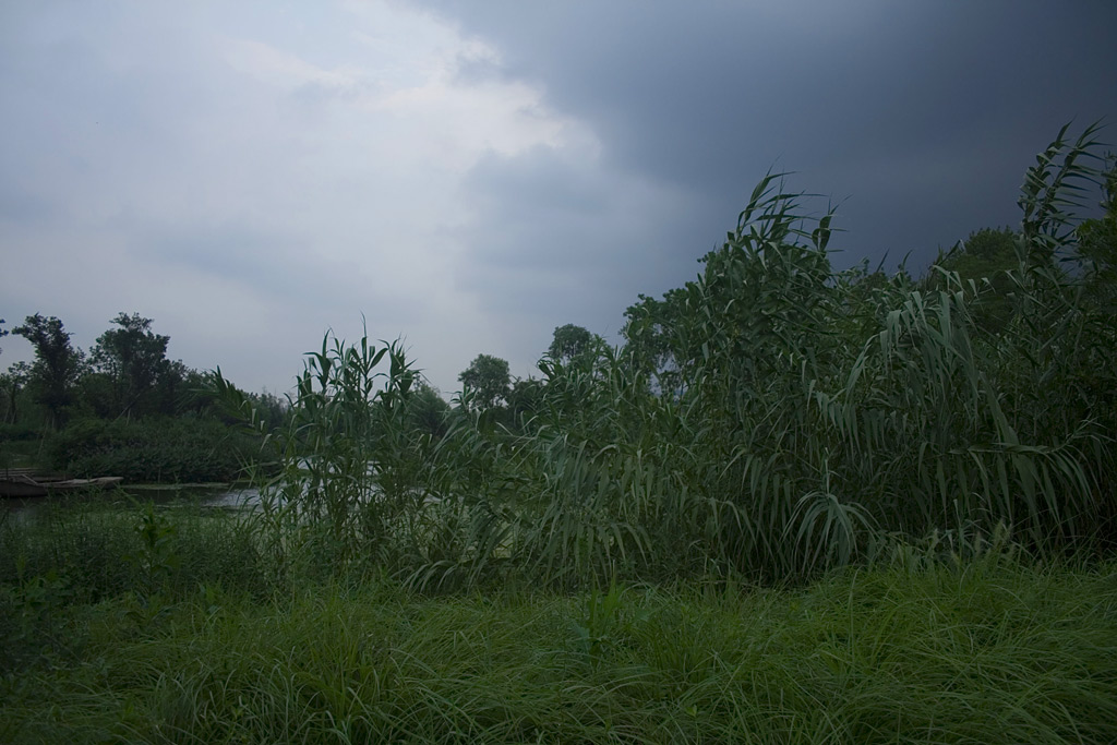 山雨欲来风满园 摄影 参宿七