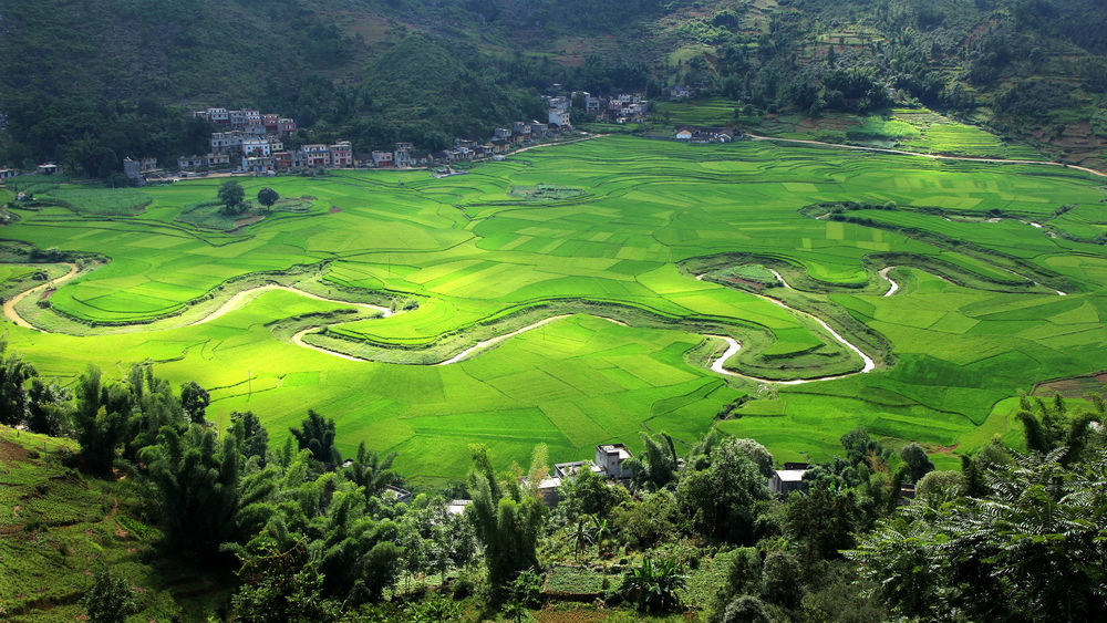 生命之河 摄影 山谷