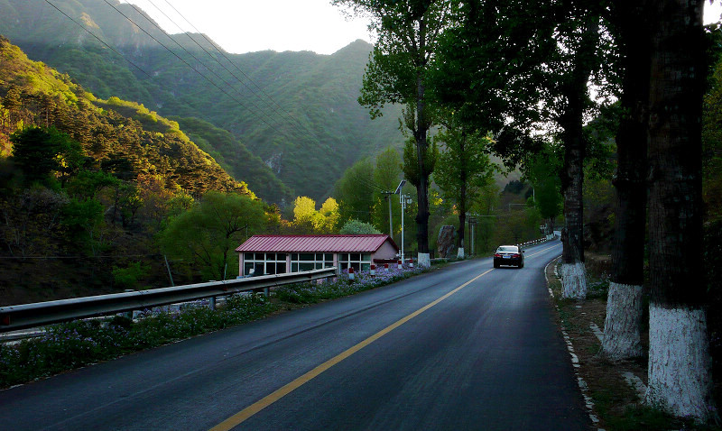 山路 摄影 水底鱼