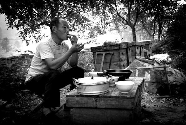 养蜂人的午餐 摄影 晚.挽