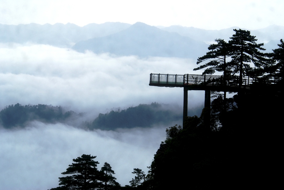 三清山云雾（三） 摄影 sutong