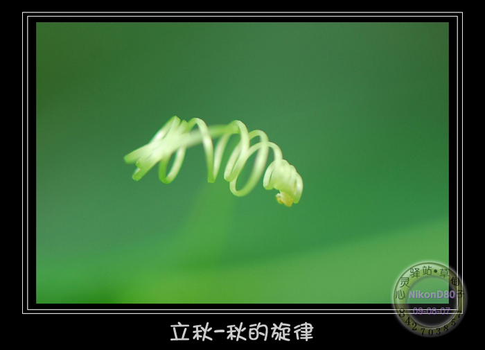 秋的旋律 摄影 草甸子