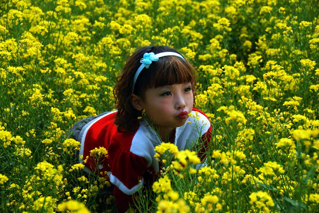 花朵 摄影 朝花夕摄