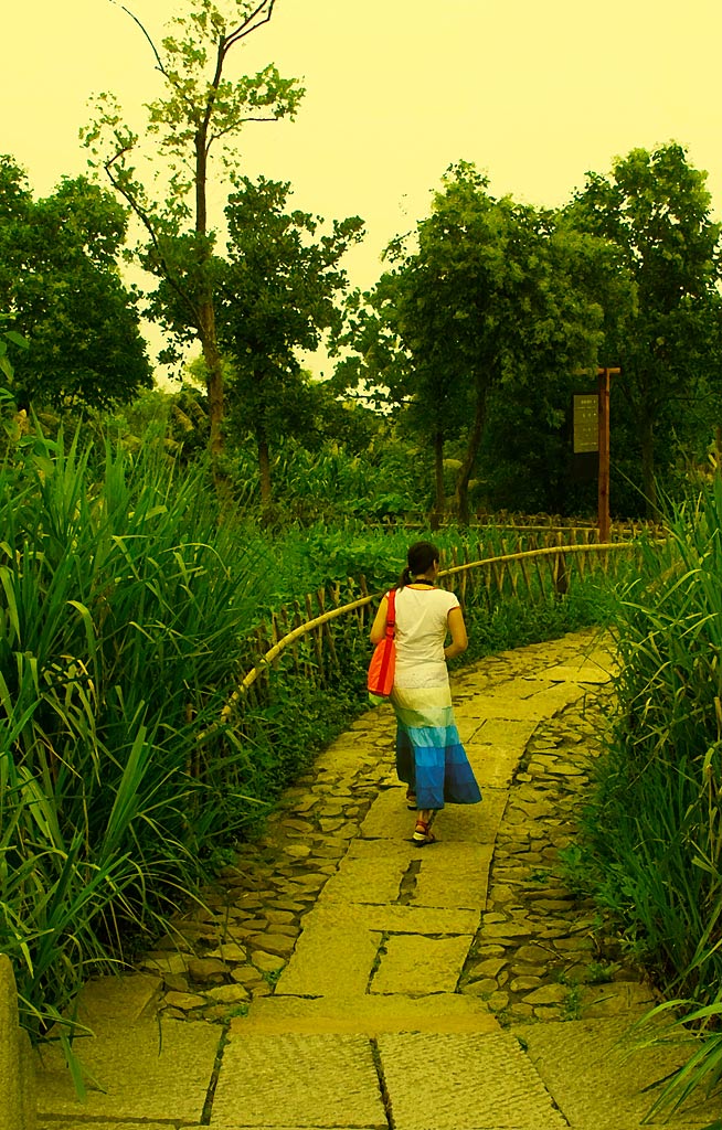 西溪风景 摄影 参宿七