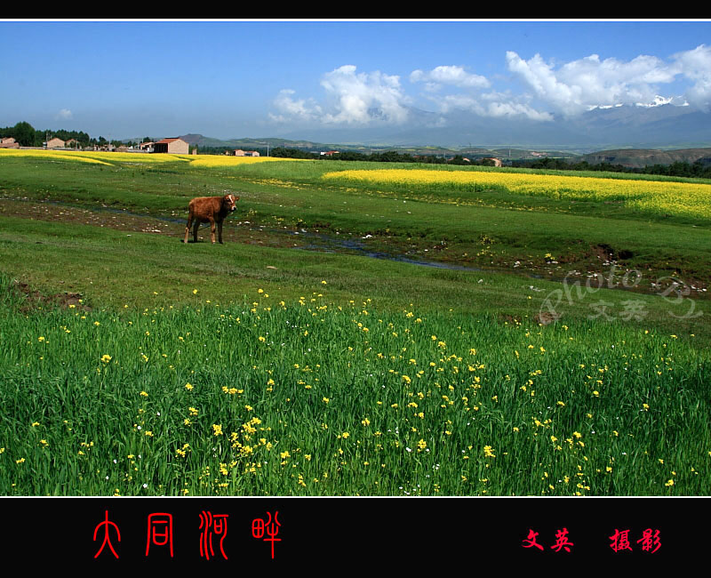 大同河畔 摄影 文英