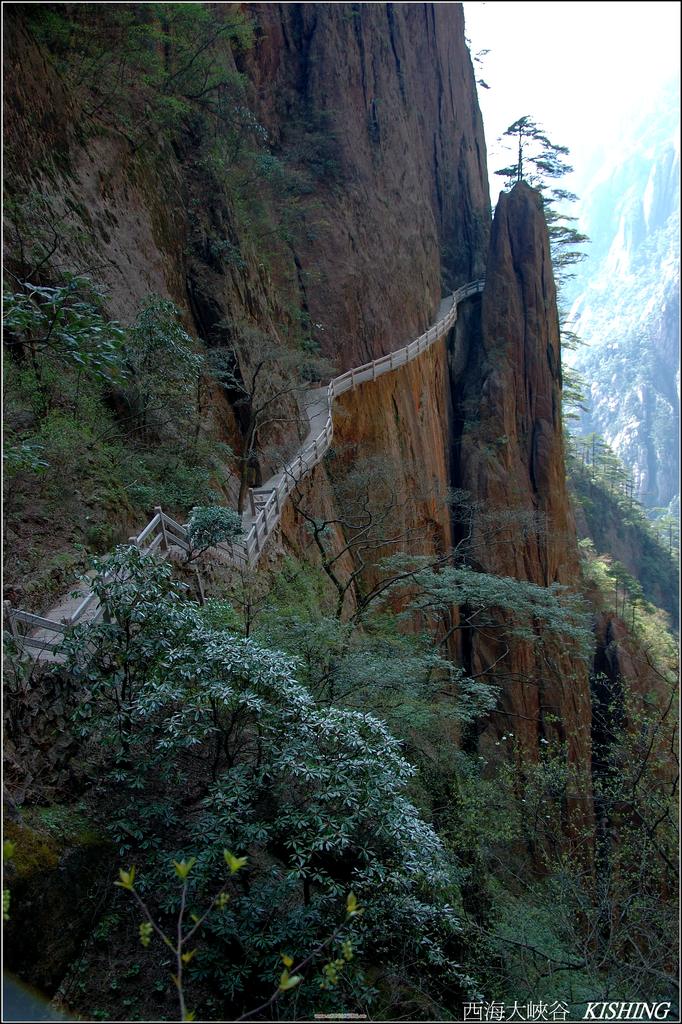 黃山行 摄影 老楊