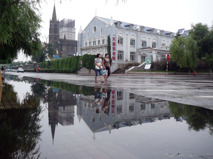 雨后 摄影 柳花