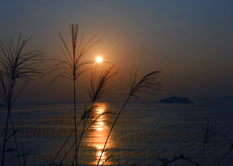 霞浦晨曦 摄影 淮上老兵