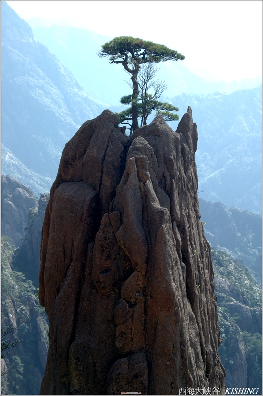 黃山行 摄影 老楊