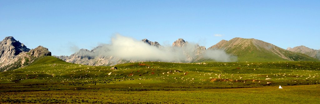 草原之夏（一） 摄影 高原风景