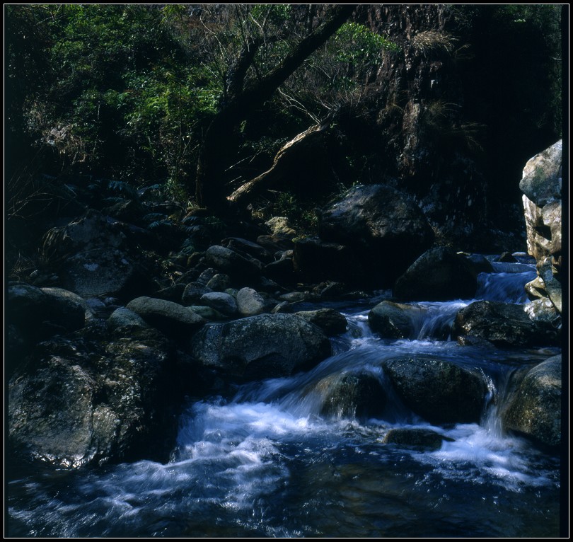 水韵 摄影 大漠胡杨深处