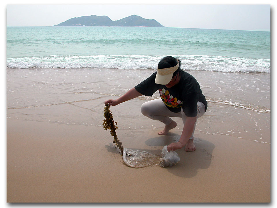 海南随拍 摄影 毫克