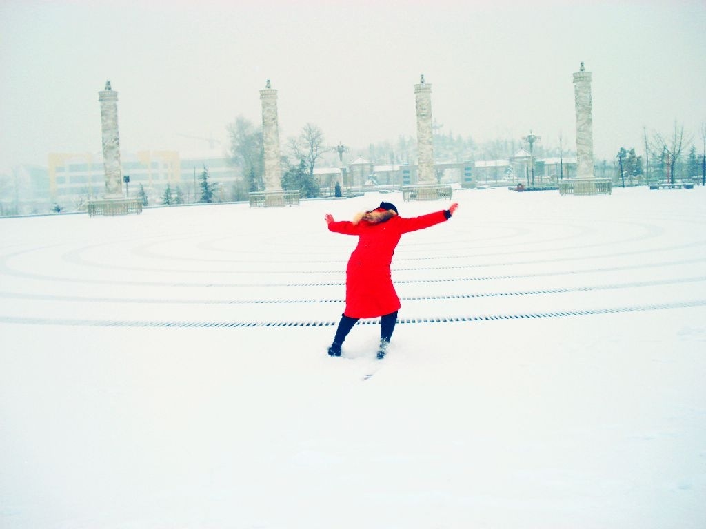 雪中飞翔 摄影 康慨