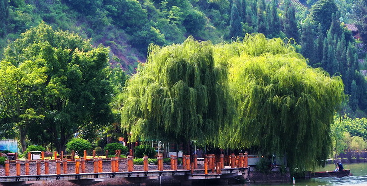 邛海风景（三） 摄影 爱兰居士