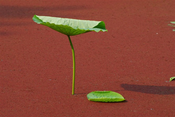 不破不立 摄影 犇走天下