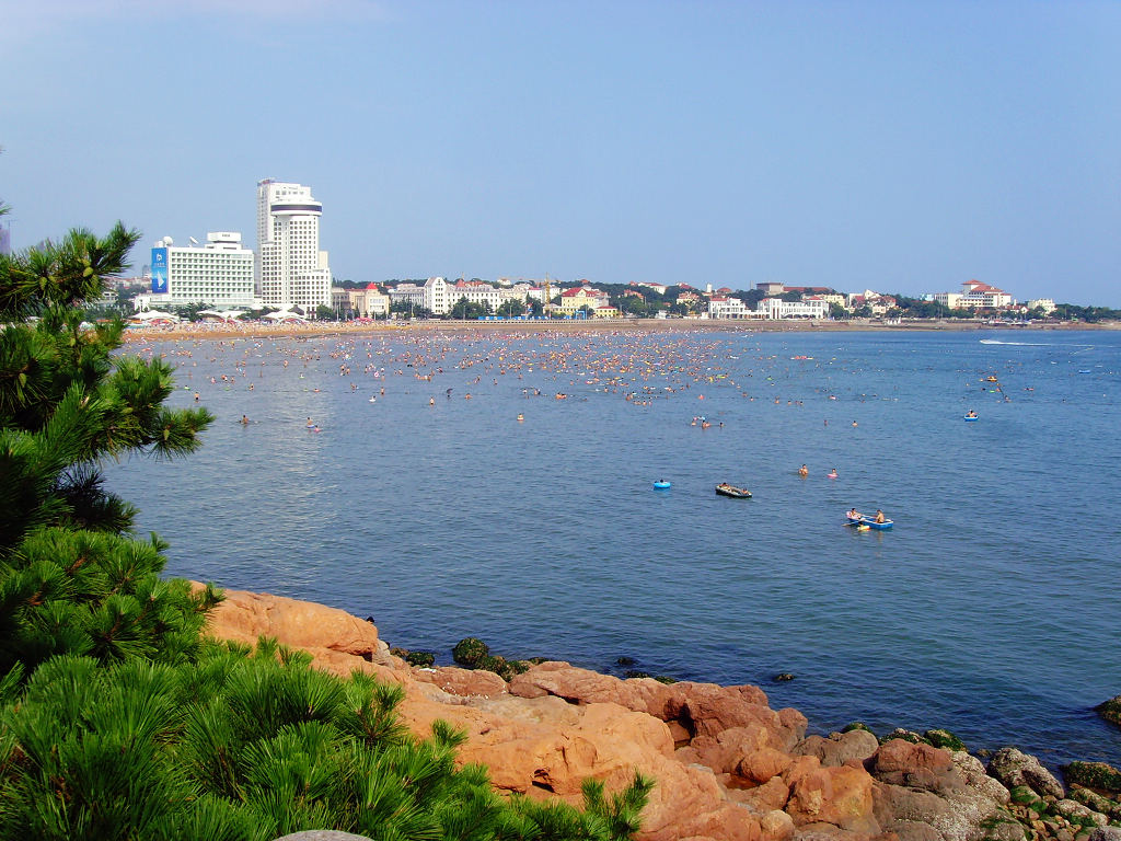 海洋 摄影 海鸥119