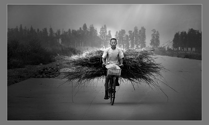 歸 摄影 楊柳雨