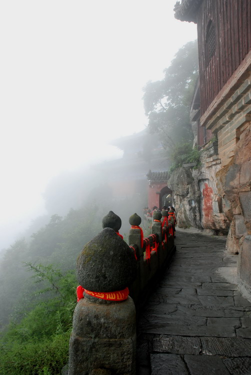 武当之路 摄影 秦岭骆驼