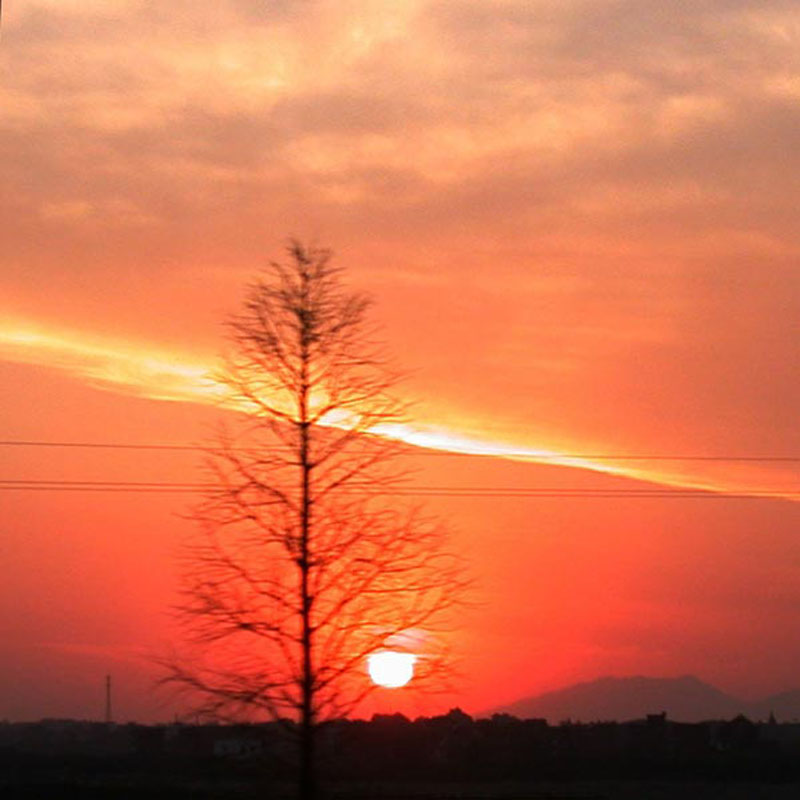 夕阳 摄影 老土的影像