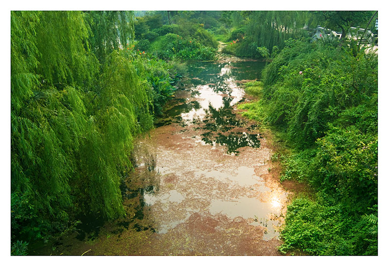 小景 摄影 陈维