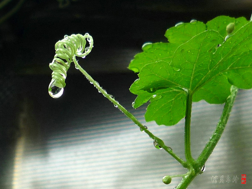 雨后1 摄影 清月出岭