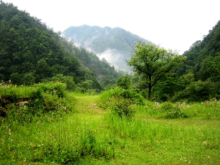 终南山的四季3 摄影 一起看草原