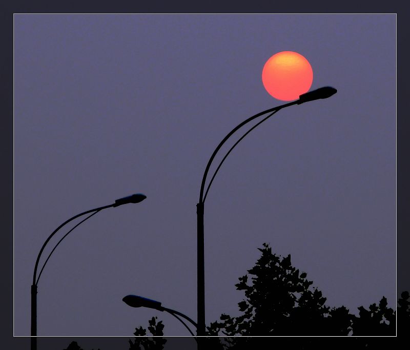 夕阳下的剪影 摄影 明月_入怀