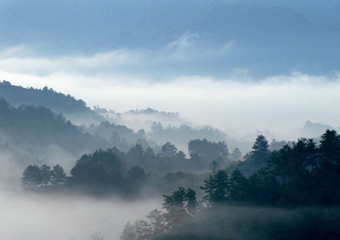 黄山后山---美溪 摄影 wang56761012