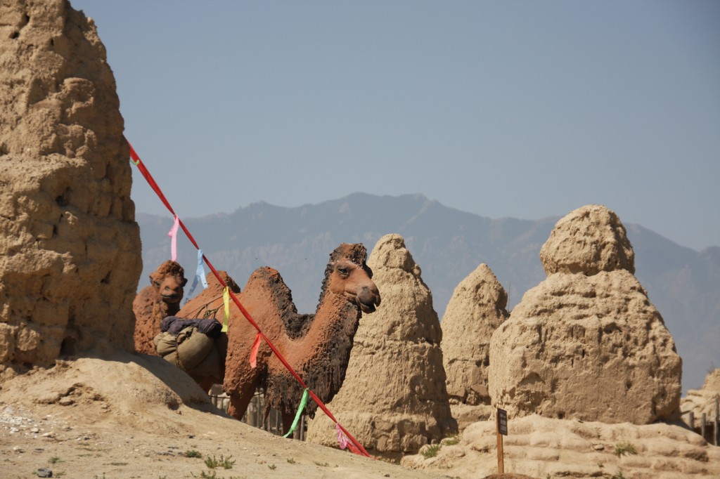 大漠之旅 摄影 南山村