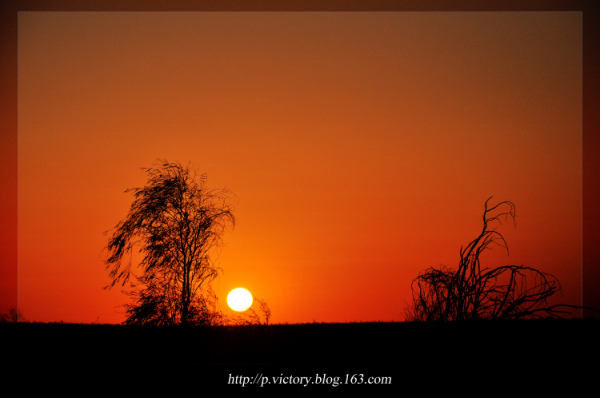 卡拉库姆夕阳 摄影 舍弃-逍遥