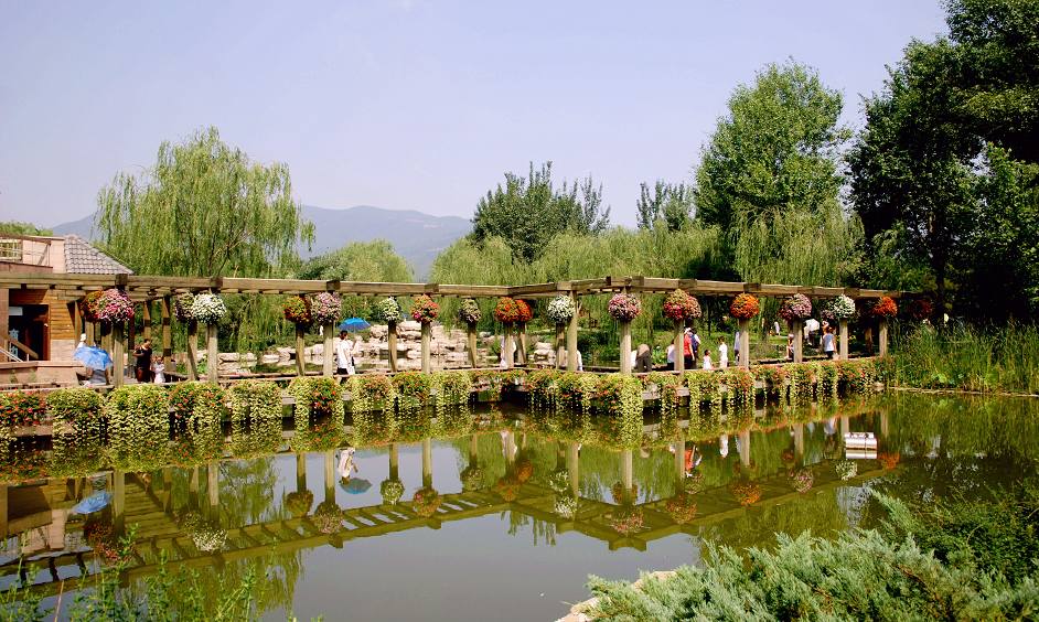 北京植物园风光 摄影 花皮蛇