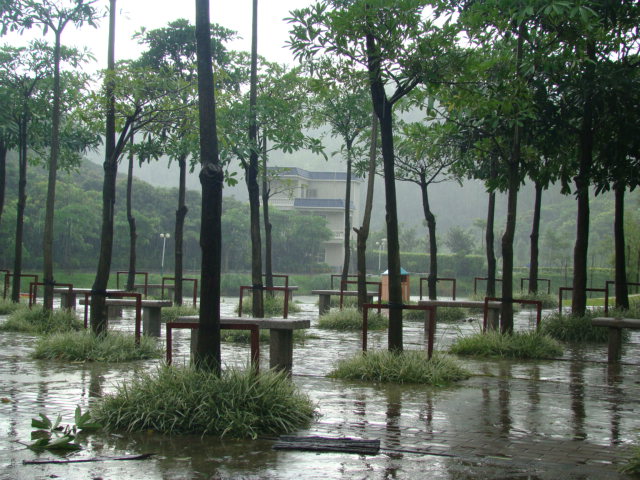 雨中即景：别墅或曰诗意的生活 摄影 黄菂