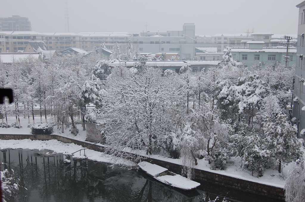 雪景2 摄影 青宜